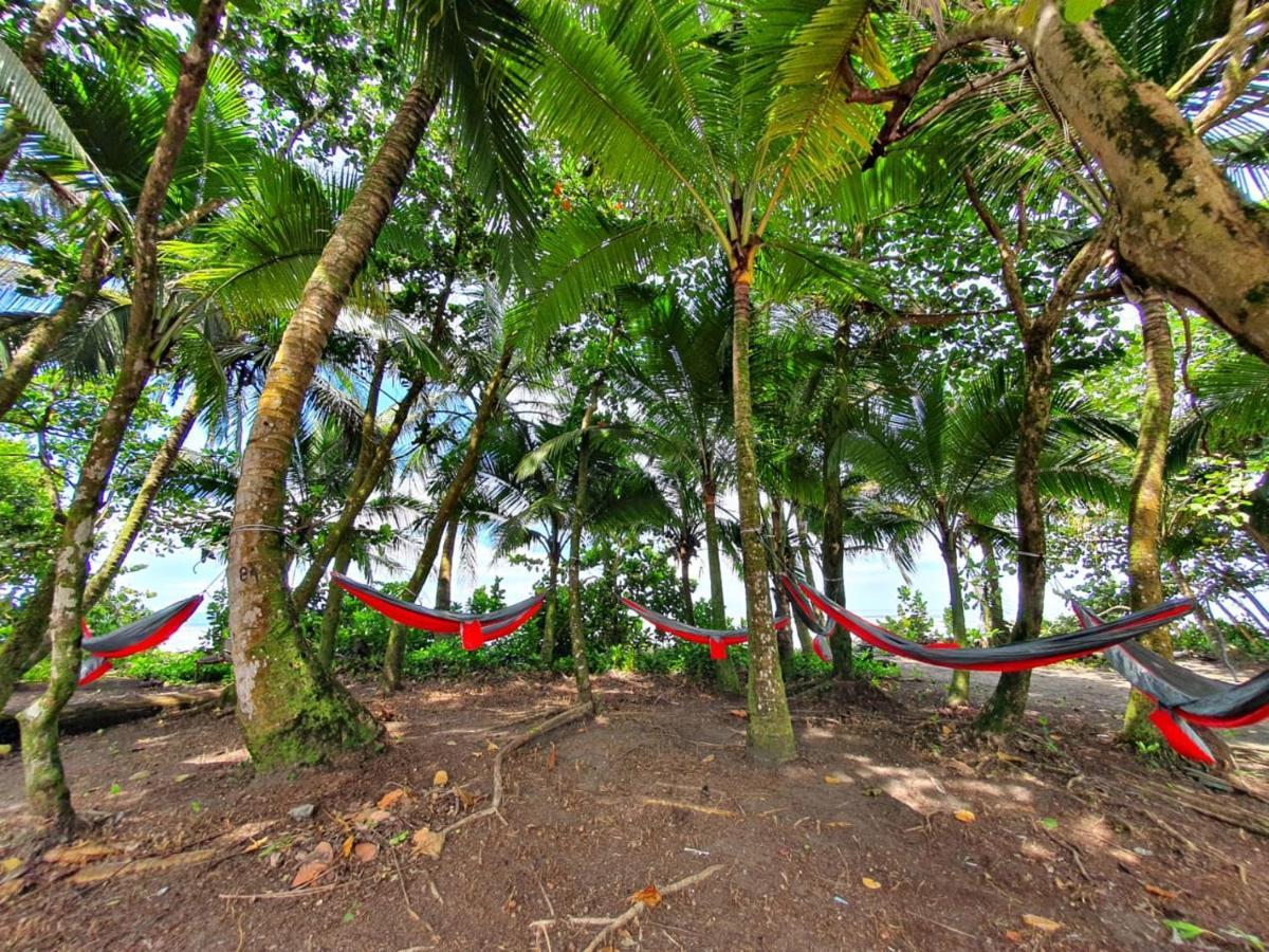 토르투게로 Caribbean View 아파트 외부 사진