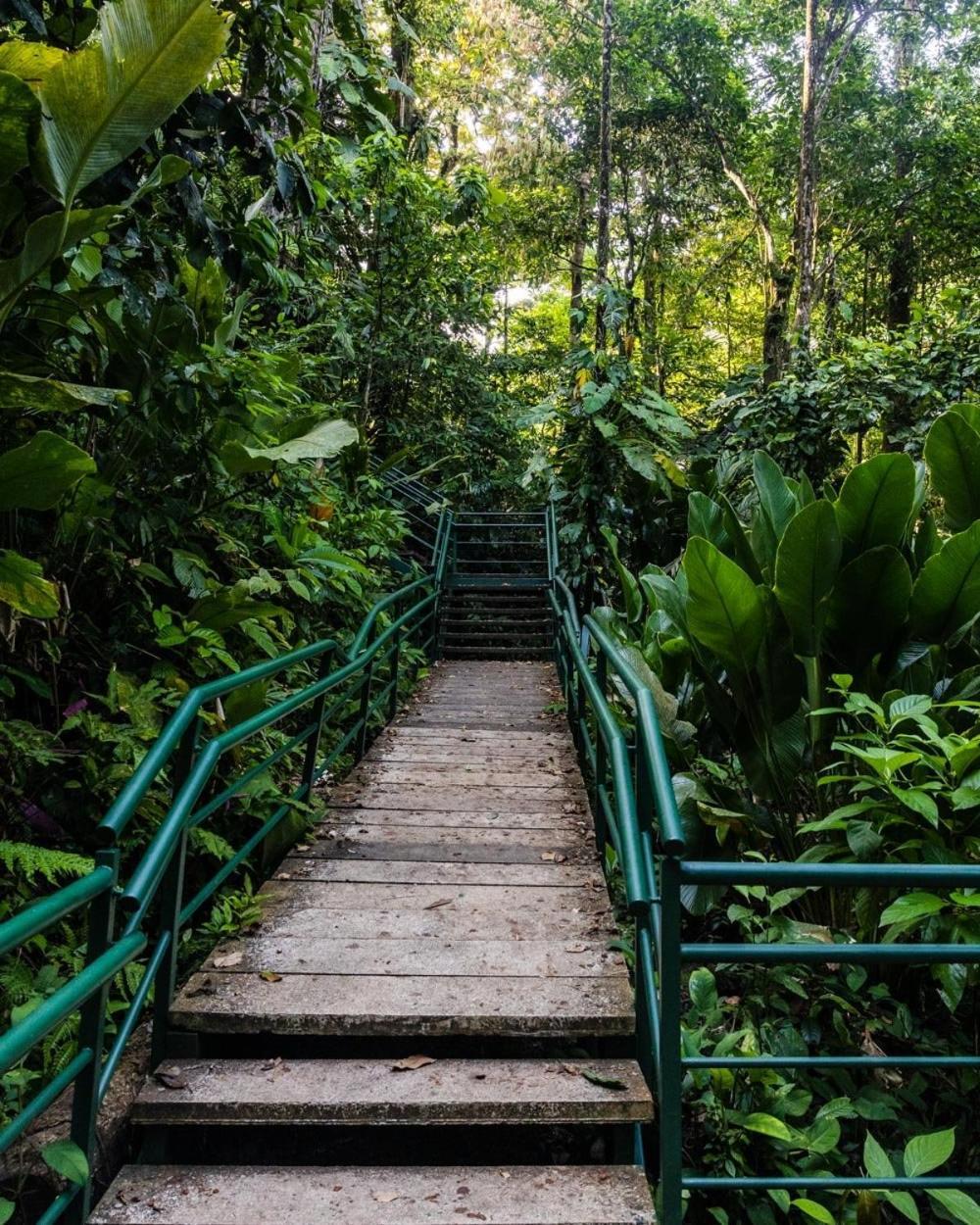 토르투게로 Caribbean View 아파트 외부 사진